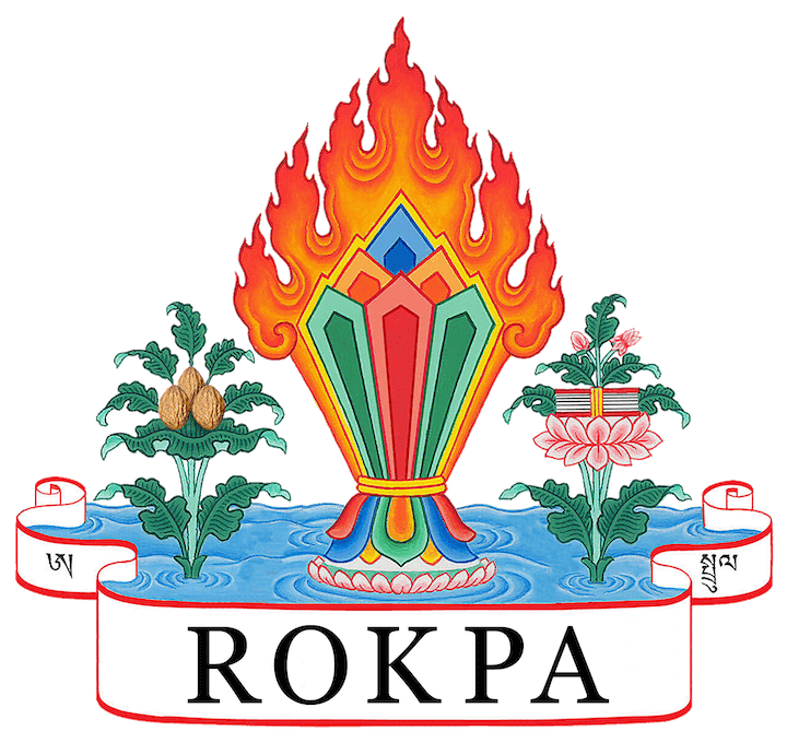 Logo ROKPA